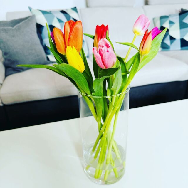 Hello weekend. 💙🌷 #Frühling #Tulpen #Blumen #spring #tulips #flowers #flowerstagram