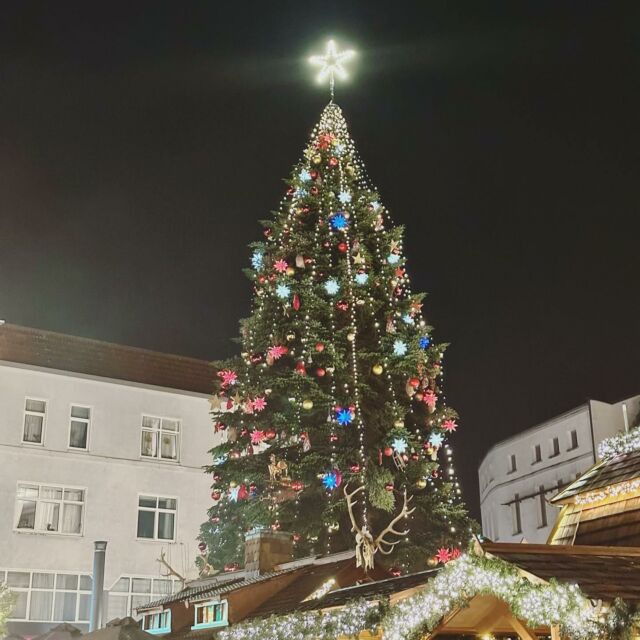 Herforder Weihnachtsmarkt. 🌟🎄 #Herford #Weihnachtsmarkt #Adventszeit #Glühwein #Apfelpunsch
