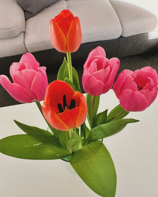 Happy Sunday. 🌷 #Tulpen #tulips #Blumen #flowers #Wochenende